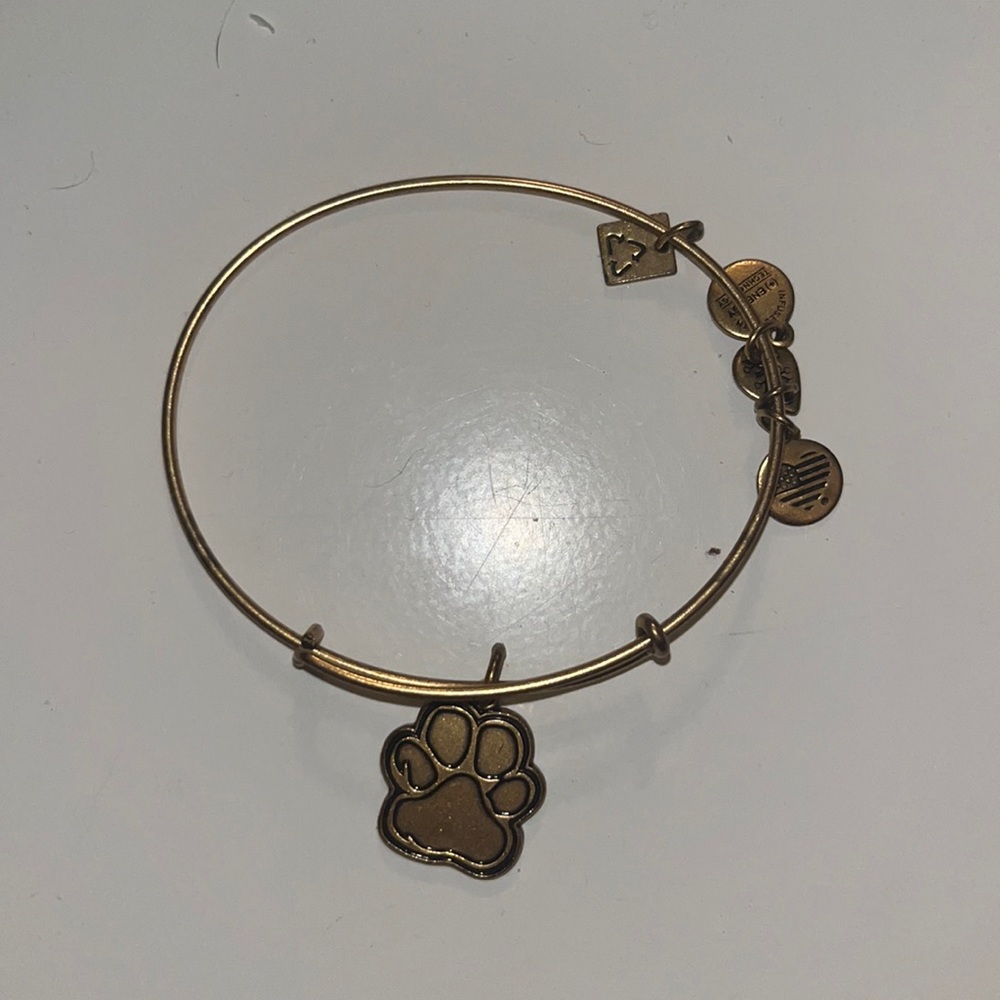 Alex and Ani Bracelet